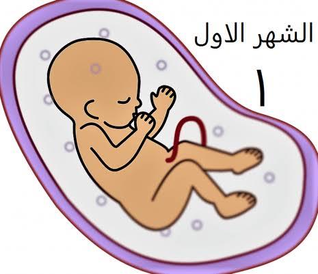 اعراض الحمل الشهر الاول , كيف اعرف اني حامل