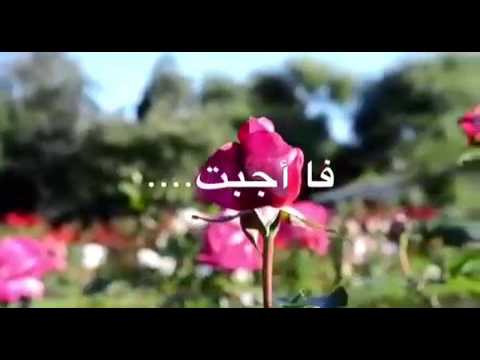 ولا اروع من هيك كلام - استمع وحاول تفهم معني الاقوال الي كلها حكم 3954 4