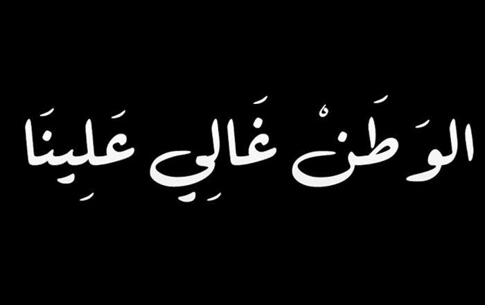 شعر ع الوطن - اروع تغزل في وطني 10955 5