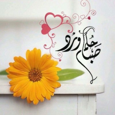 ما اروع الصباح صور - صور مناظر طبيعية 3609 5