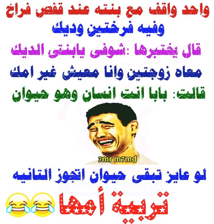 احلى نكت - ابعد عن الملل والروتين ببعض النكت الحلوة 12933133 1003120733059072 3208744218452455647 N