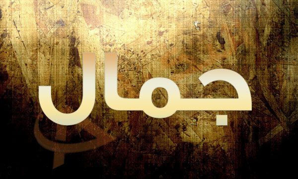 صور اسم جمال - خلفيات رائعه كتب عليه اسم جمال 7620 2