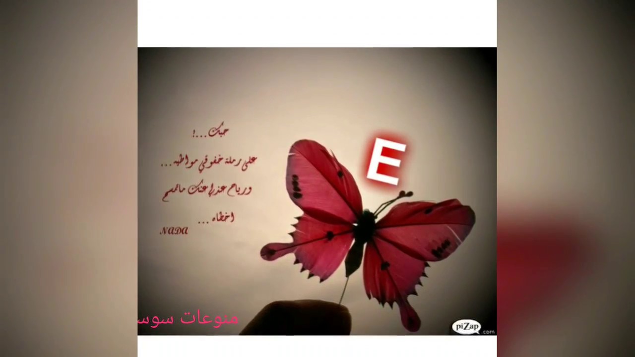 اجمل صور حرفE - هنا فقط تجد اجمل الصور لحرف E 7346 14