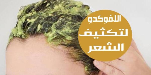 تجربتي مع ماسك الافوكادو للشعر , الافوكادو وفوائده المزهله للشعر