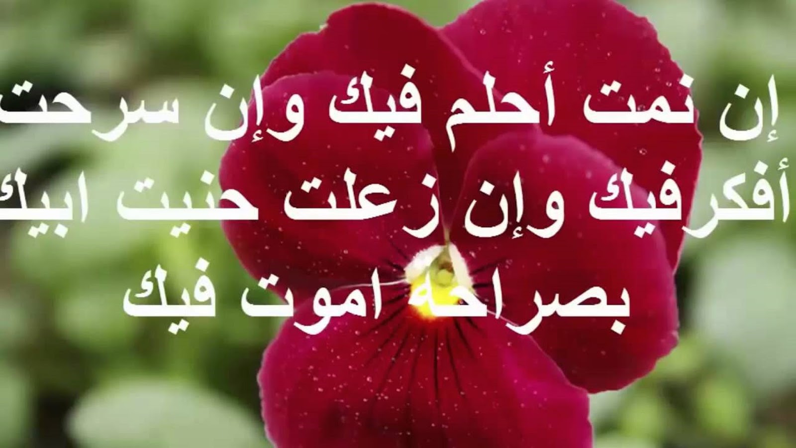 رسائل حب للحبيب الغالي - مداعبات وهماسات مكتوبة للعشاق 8581 3