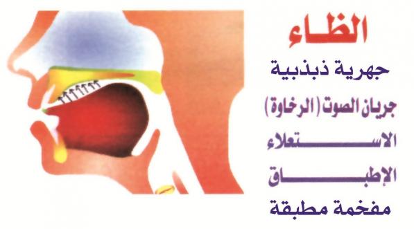 اسم بحرف ظ - اغرب الاسماء التى تبدء بحرف ال ظ 7465 11