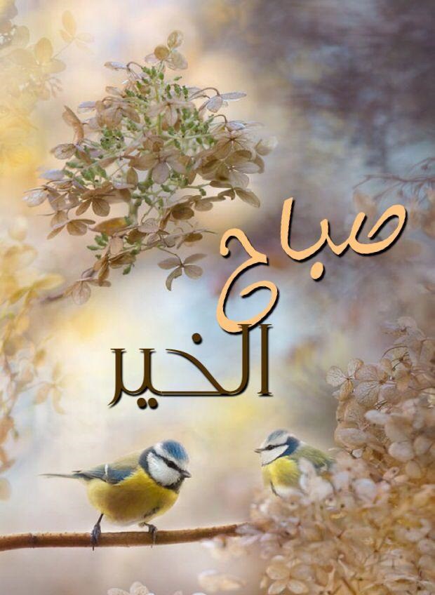 ما اروع الصباح صور - صور مناظر طبيعية 3609 8