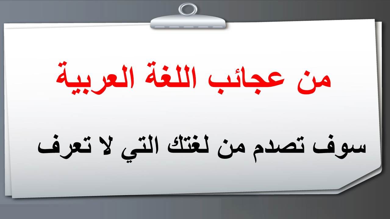 من روائع اللغة العربية - هي لغتنا الجميله بمعني الكلمه 6870