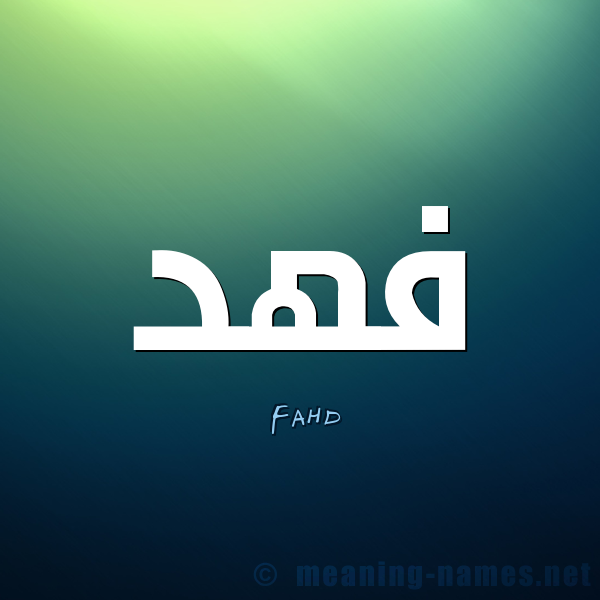 اسم فهد - فهد اسمك يدل علي شخصيتك 7743 3