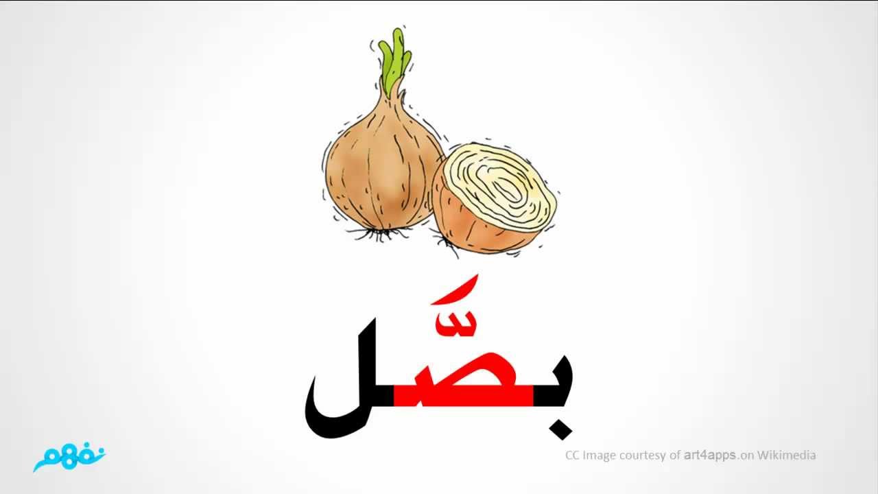 صور حرف ص - يا جمالك في الكلمات يا حرف ص 7764 4