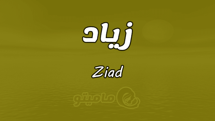 اسم زياد بالانجليزي - كلمات انجليزية رهيبة جدا تعنى اسم زياد 7437 5