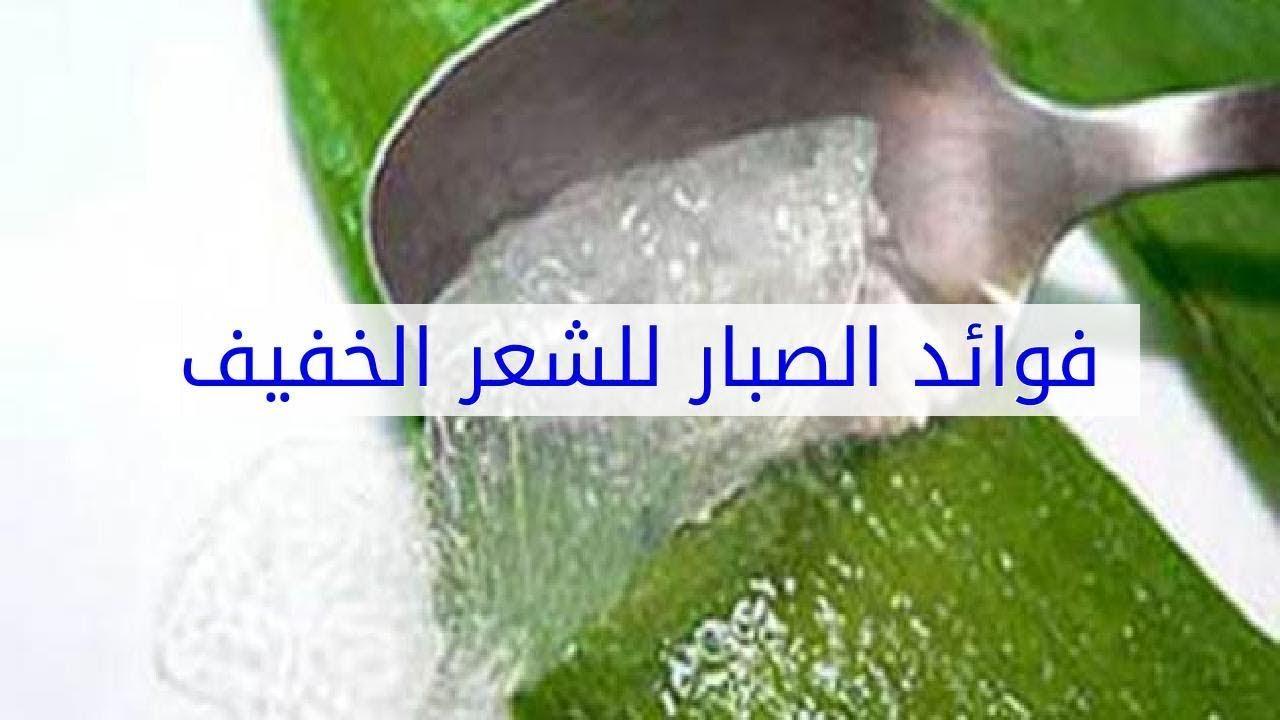 فائدة الصبار للشعر - الصبار لعلاج التساقط والشعر الخفيف 13348 3