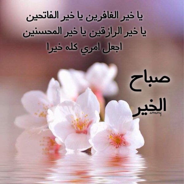 صور للصباح الاصدقاء - صبح على حبايبك كل صبح 2315 9