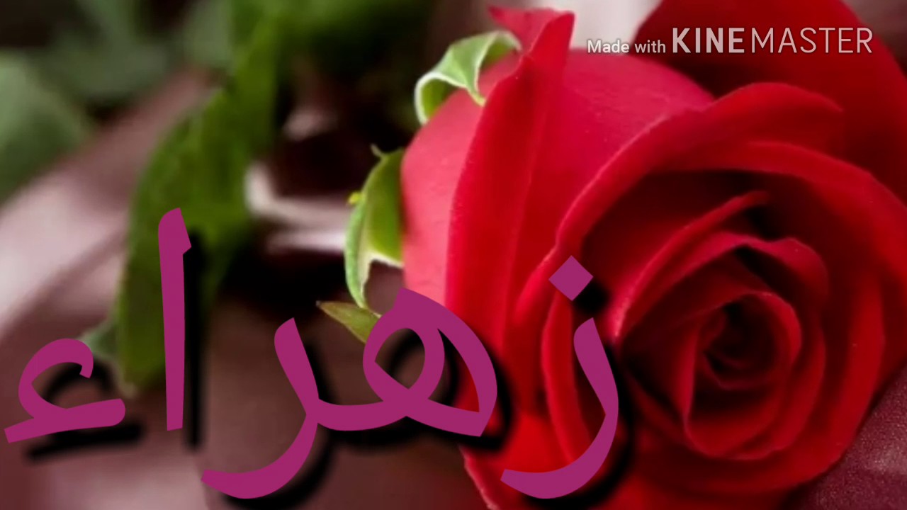 اسم زهراء - ابرز الزخارف والنقوش لاسم زهراء 7383 1