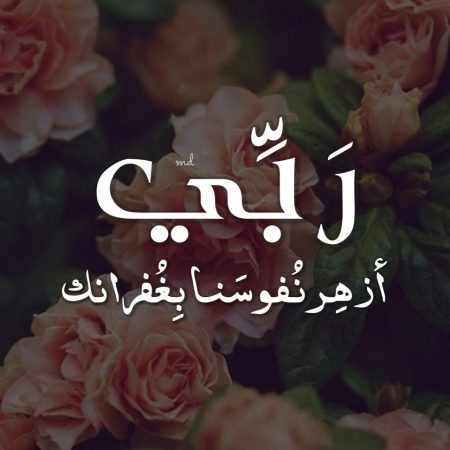 اجمل واروع خلفيات للواتس - اجمل صور للواتس 3546 12