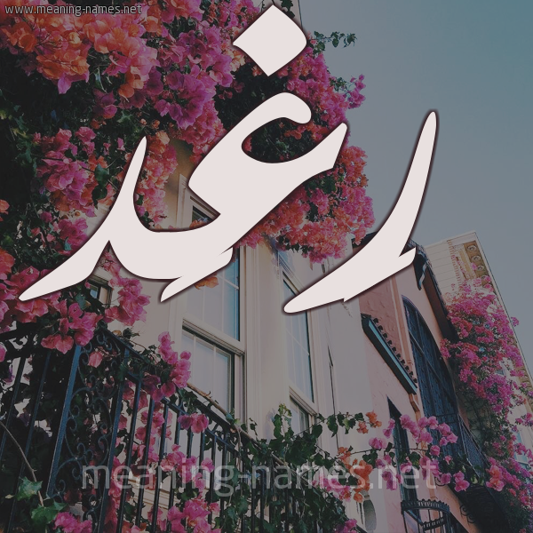 اسم رغد - رغد فخامه اسمك جامدة جدا 7823 2