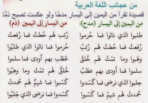 من روائع اللغة العربية - هي لغتنا الجميله بمعني الكلمه 6870 7