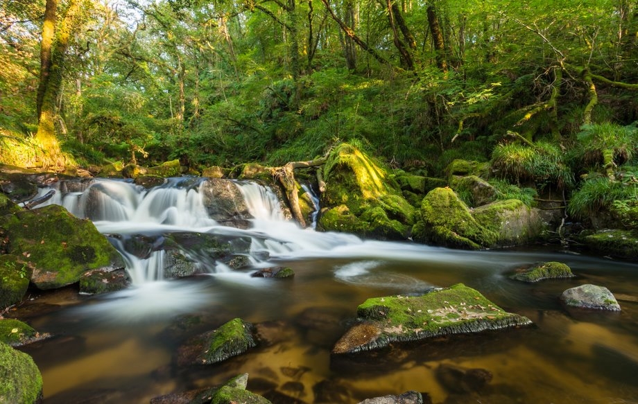 كتابة تعبير عن وصف منظر طبيعي - الطبيعة الخلابة سحر القلوب 18993 Golitha Falls Rivers Rocks Trees Waterfalls