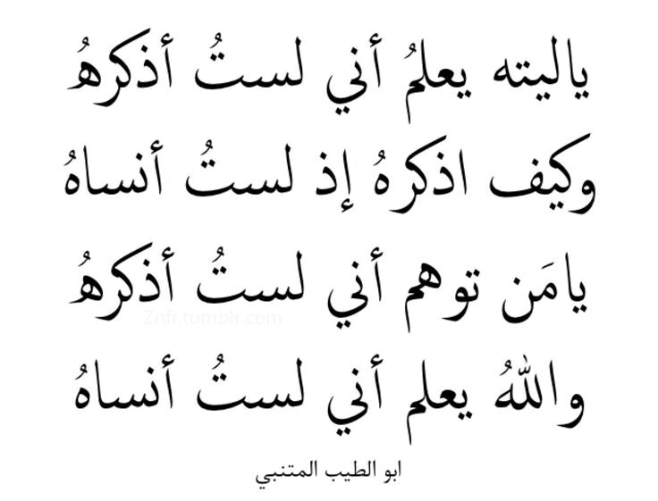 اروع قصائد المتنبي - شاهد اجمل ما دون ابى الطيب المتنبى 6613 1