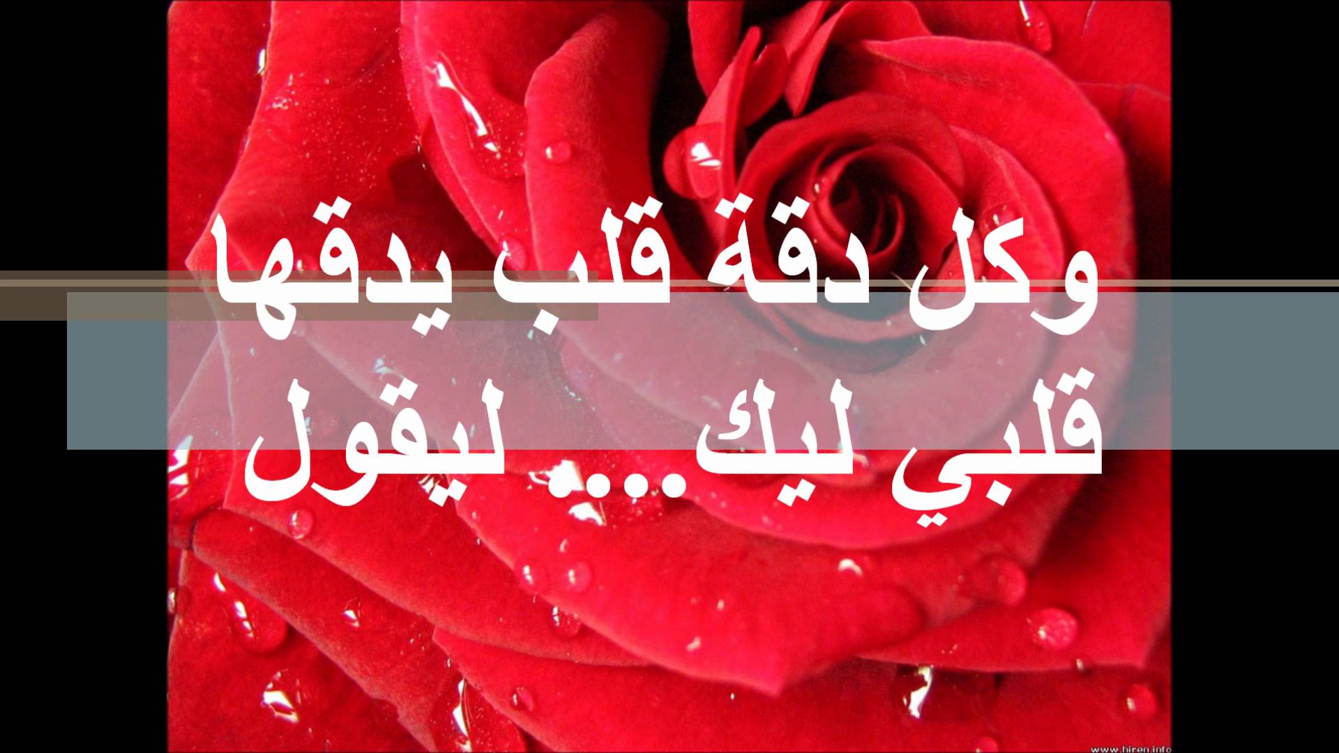 شعر للحبيب الغالي - اروع كلمات الشعر الرومانسي للمحبوب الغالي