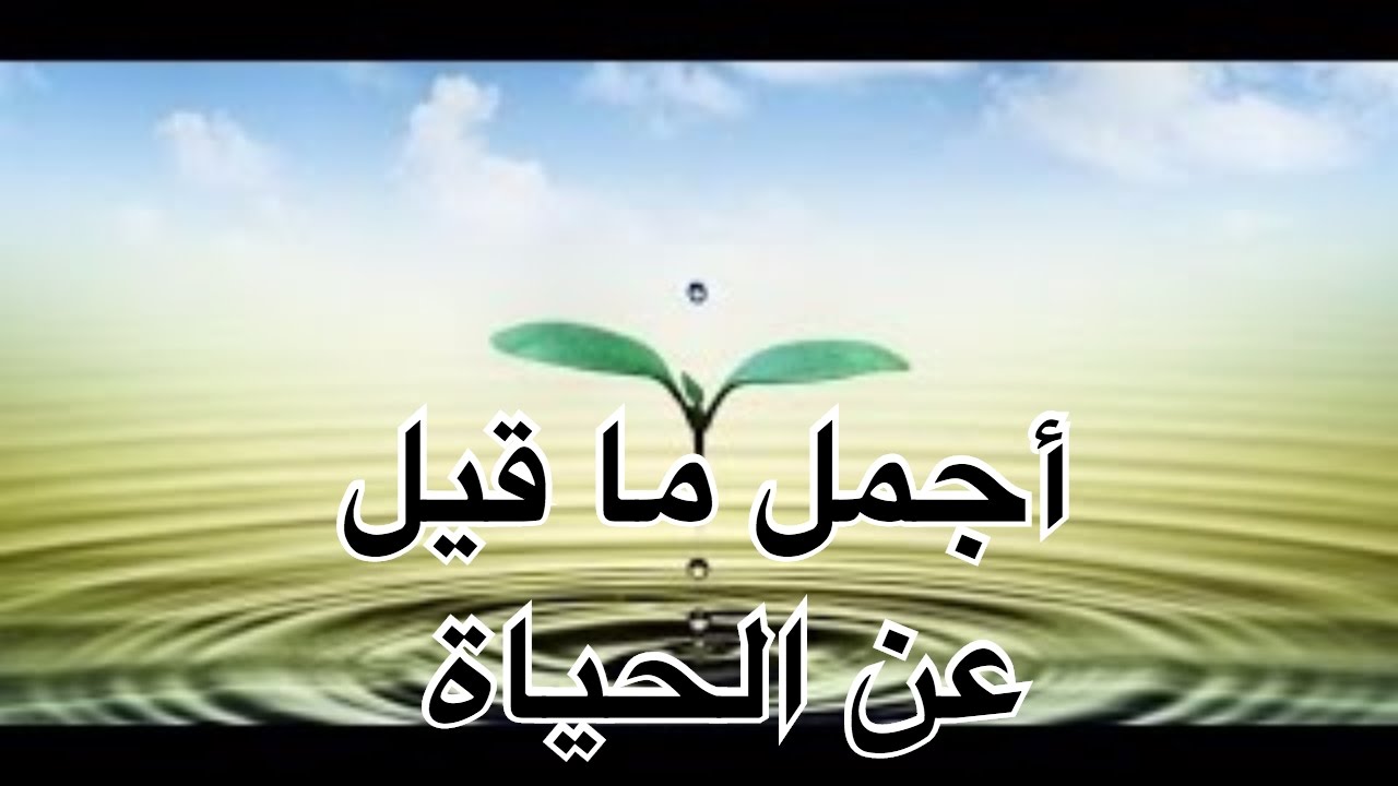 اروع ما قيل عن الحياة - عبارات واقعية فى الصميم 6683