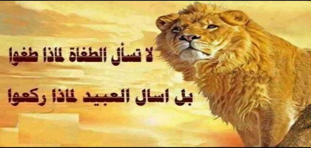 اروع الكلمات بلا منازع - كلام جميل ومعبر 3915