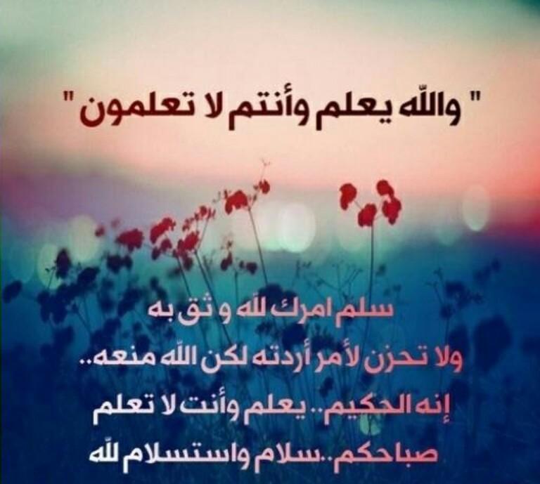 من روائع الكلمات والحكم - عبارة حكيمه من احد الحكماء روعه 6866 4