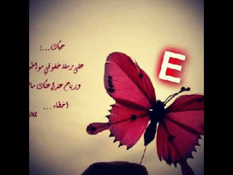 صور حرف E - شوف صور حرف E والكتابه المزخرفه 7714 6