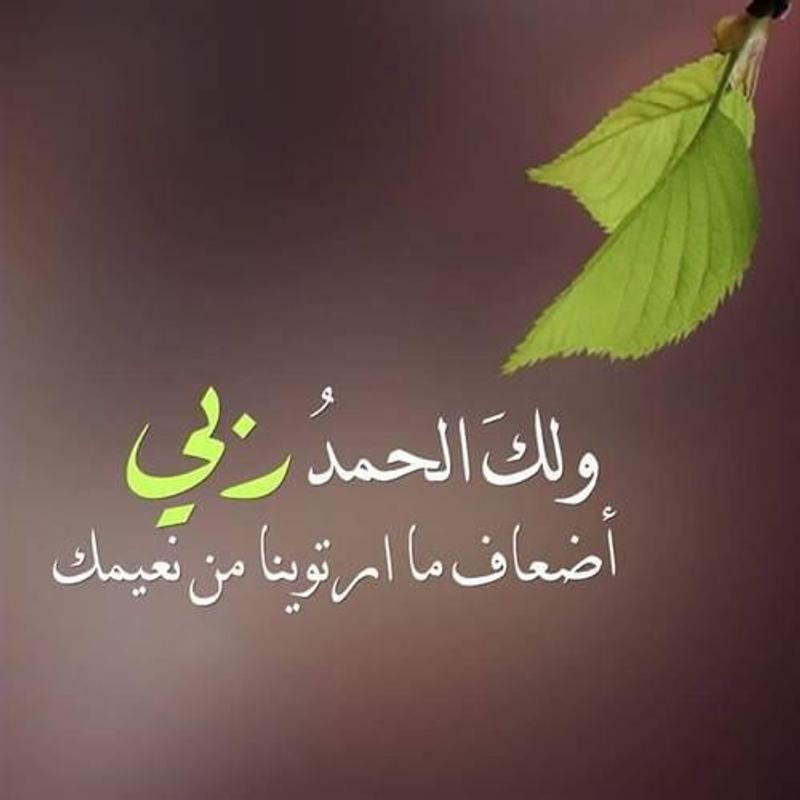 صور واتس 2020 - اجمل صور للواتس اب 2020 10713 7