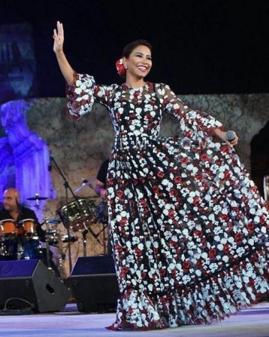 اقوى ازياء الفنانة شيرين عبد الوهاب للمحجبات - فساتين شرين للسهرة 170 2