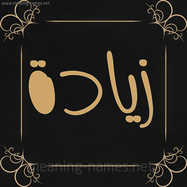 اسم زياد - فخامه اسم زياد جعلته اكثر جمالا 7740 2