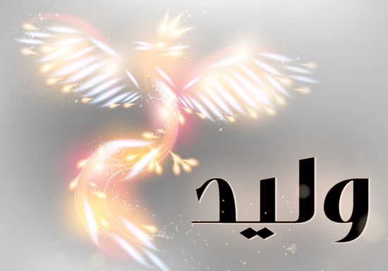 اسم وليد - رسومات غير متداولة لاسم وليد 7476 4