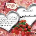 2471 7 صور رومنسيه جدا مكتوب عليها احمد ومنه - صور حب عليها اسماء بشكل رومانسي حمامة الرياض