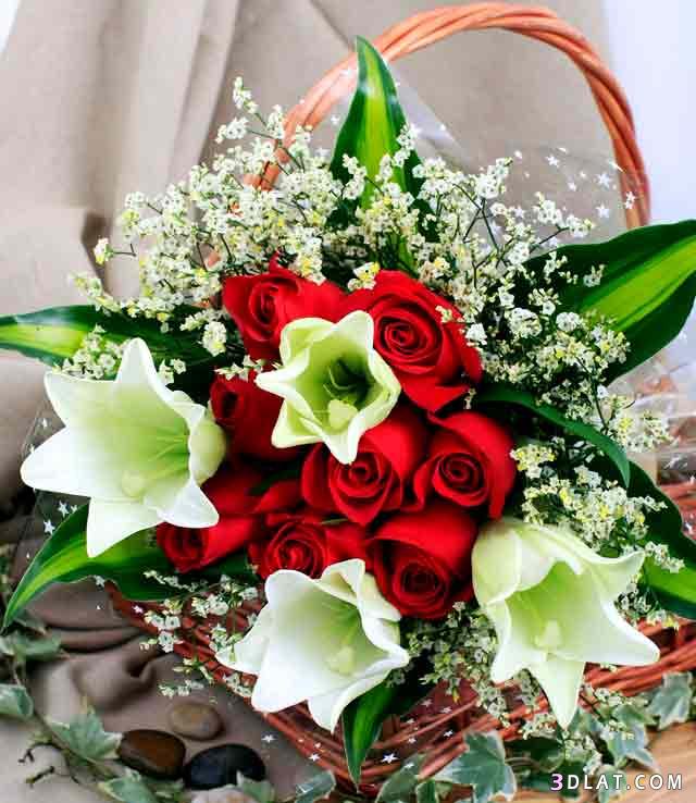 3853 1 اروع باقات الورد - للتعبير عن مشاعرك لحبيتك ارسل بوكية من الزهور سناء بدر