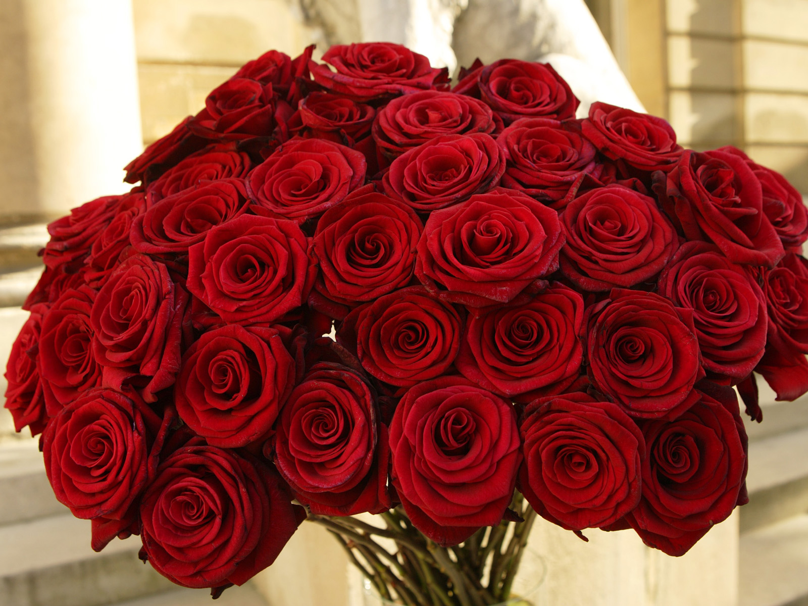3853 6 اروع باقات الورد - للتعبير عن مشاعرك لحبيتك ارسل بوكية من الزهور سناء بدر
