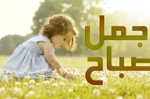 3974 8 اروع كلام في الصباح - حبيبك اهوة جية صبح علية سناء بدر