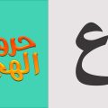 7876 9 صور حرف العين - صور متنوعه باشكال مختلفه لحرف العين حمامة الرياض