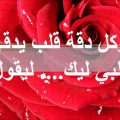 Maxresdefault 1 شعر للحبيب الغالي - اروع كلمات الشعر الرومانسي للمحبوب الغالي خالد جميل