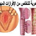 6641 3 علاج حكة المهبل للبنات , ادوية فعالة لحكة المهبل عند للنساء حمامة الرياض