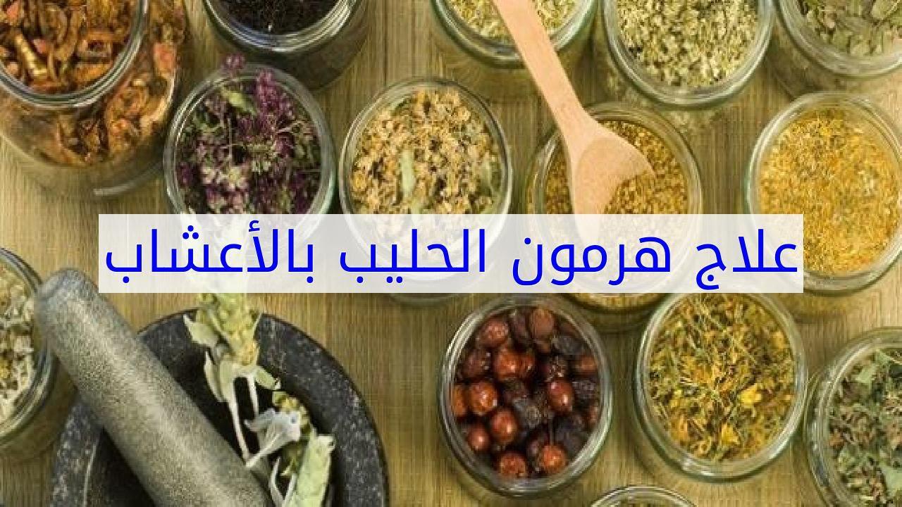 هرمون الحليب وعلاجه سهل , علاج هرمون الحليب بالاعشاب