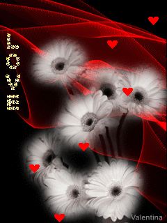 11307 18 صور حب منوعة متحركة صور رومانسية متحركة جميلة اجمل الصور الرومانسية المتحركة 2020 سوسن احمد