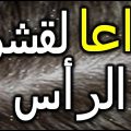 9752 2 وصفات لعلاج قشرة الشعر , خلطات لقشرة الشعر حمامة الرياض