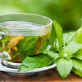 11123 3 فوائد الشاي الاخضر بالنعناع - اهم المشروبات التي تساعد في عملية التخسيس ريهام حمادة