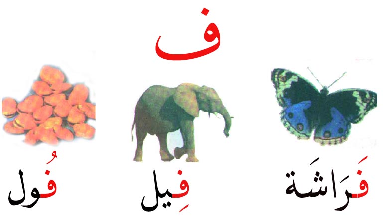 10098 1 حيوانات بحرف ف , حل الالغاز والالعاب بسهوله عشقي البحرين
