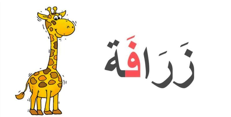 10098 حيوانات بحرف ف , حل الالغاز والالعاب بسهوله عشقي البحرين
