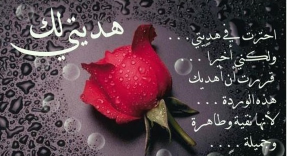 11025 5 كلام عن عيد الحب , من ارق الكلمات الرومانسيه التي قراتها عشقي البحرين