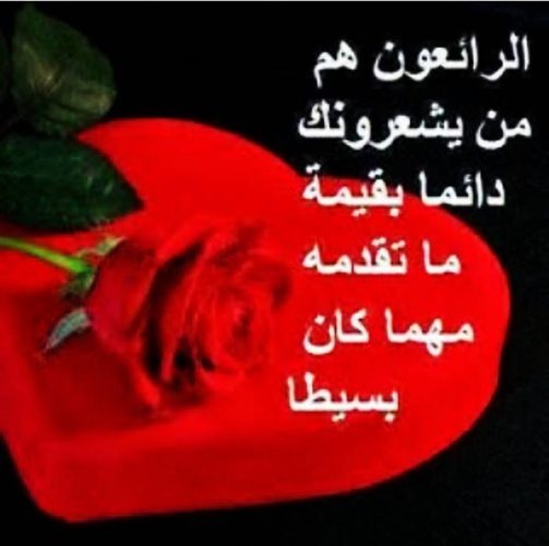 11025 6 كلام عن عيد الحب , من ارق الكلمات الرومانسيه التي قراتها عشقي البحرين