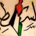 12932 11 قصيدة قصيرة عن فلسطين , اروع ما قيل في حب فلسطين حمامة الرياض