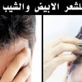 13183 3 وصفات لعلاج الشعر الابيض - زيت السمسم والليمون للشعر الابيض حمامة الرياض