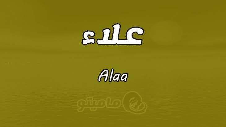 9579 9 معنى اسم علاء , معني اسم علاء وتحليل شخصيته مراد حسون